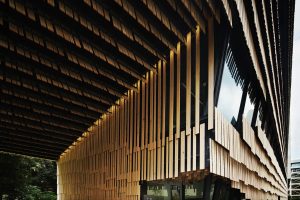 خرید چوب پلاست نما