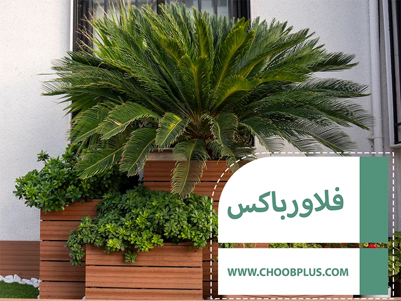 فلاورباکس چوب پلاست